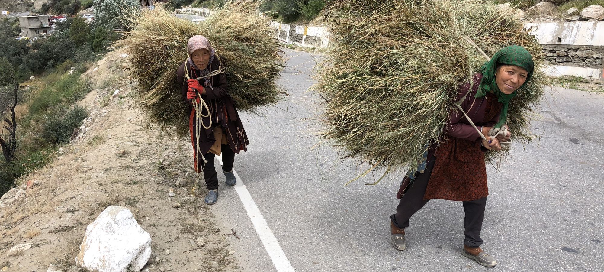 Photos from our Indian Himalayas Cycling Holiday